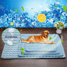 Load image into Gallery viewer, Pet Dog Summer Cooling Mat Pet Puppy Cool Cold Ice Pad Moisture-Proof Cooler Sofa Mats Portable Tour Sleeping Pet Accessories